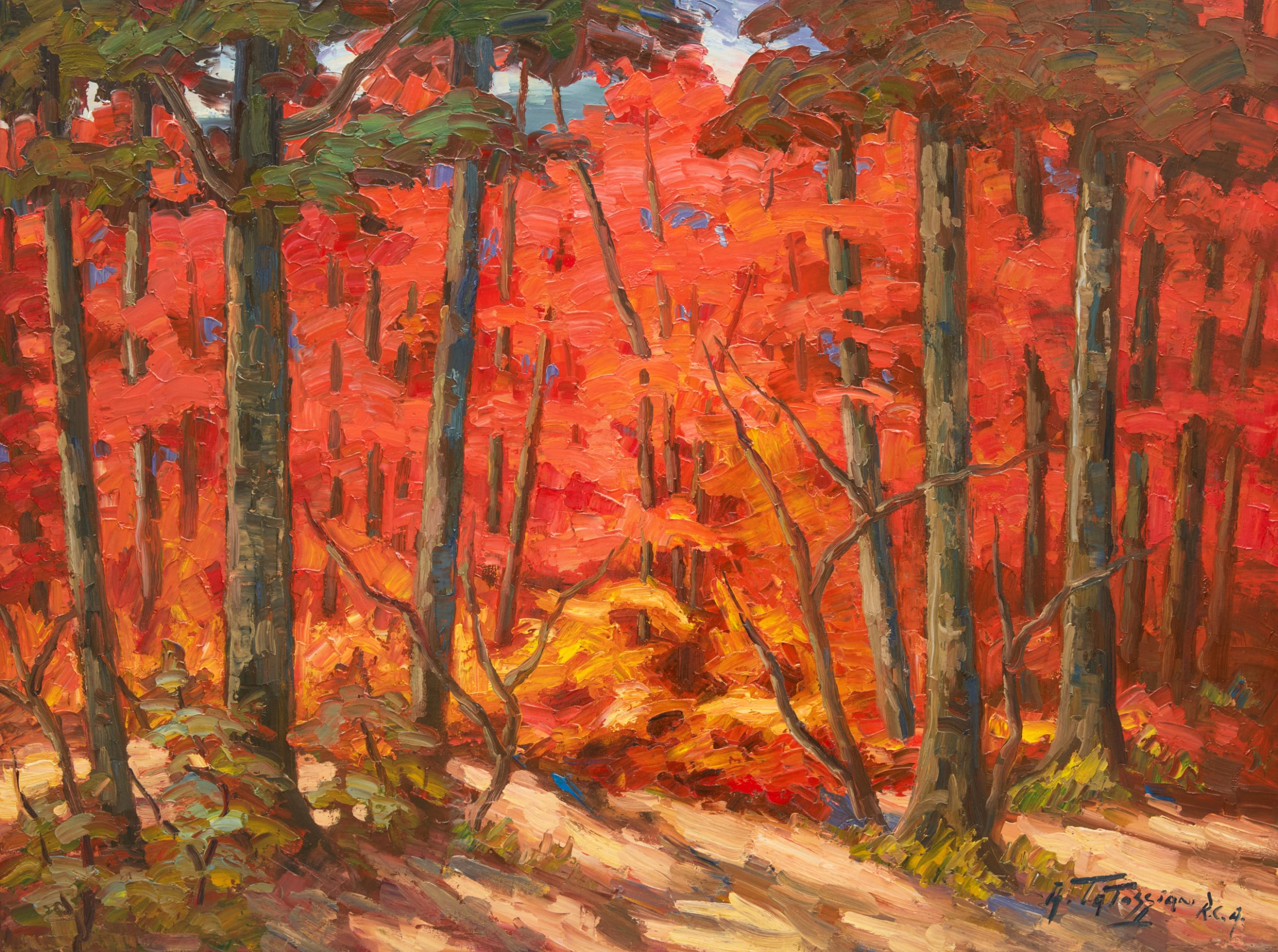 Sous bois Quebecoise by Armand Tatossian