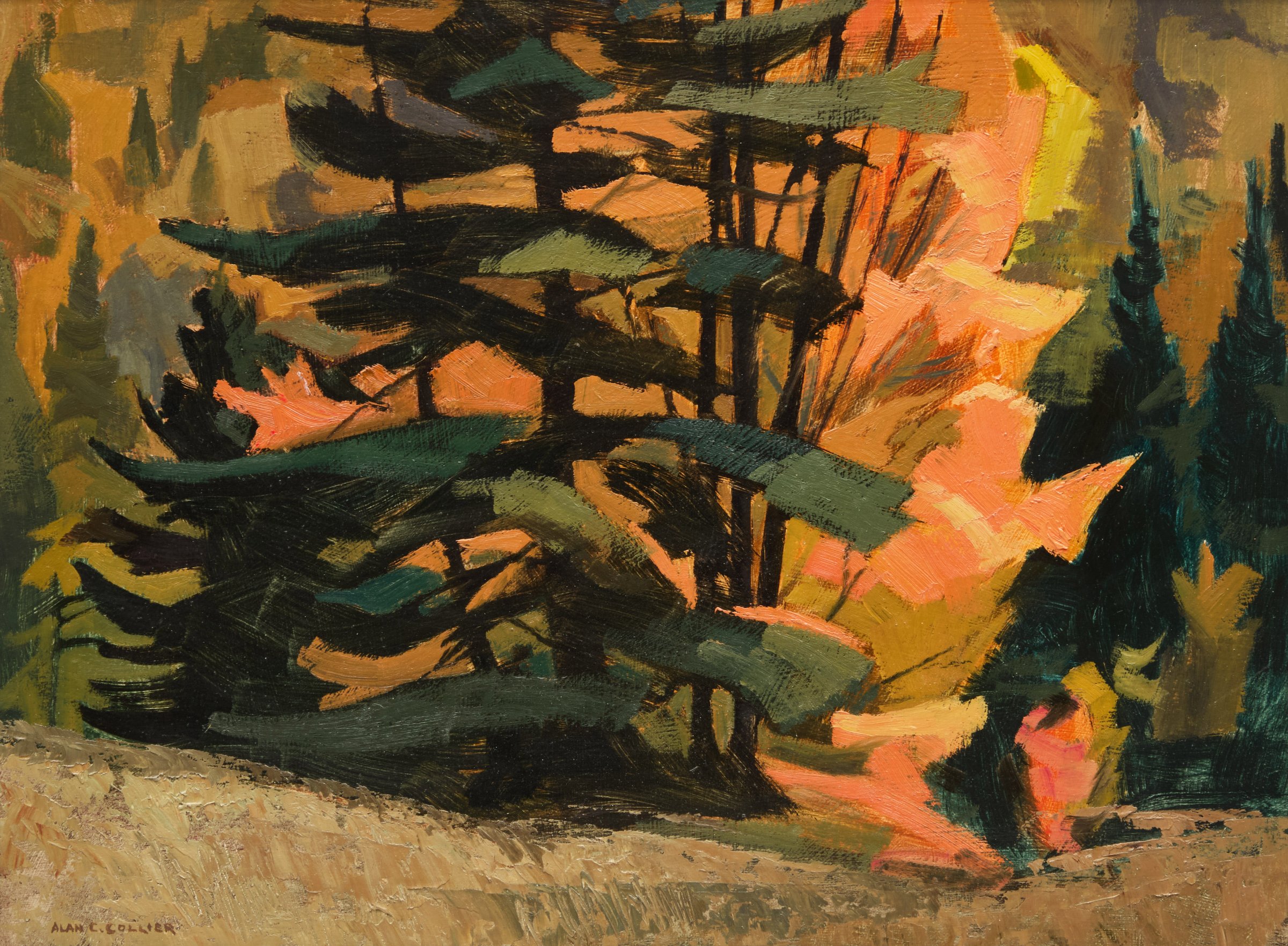 Near Bell's Rapids by Alan Caswell Collier