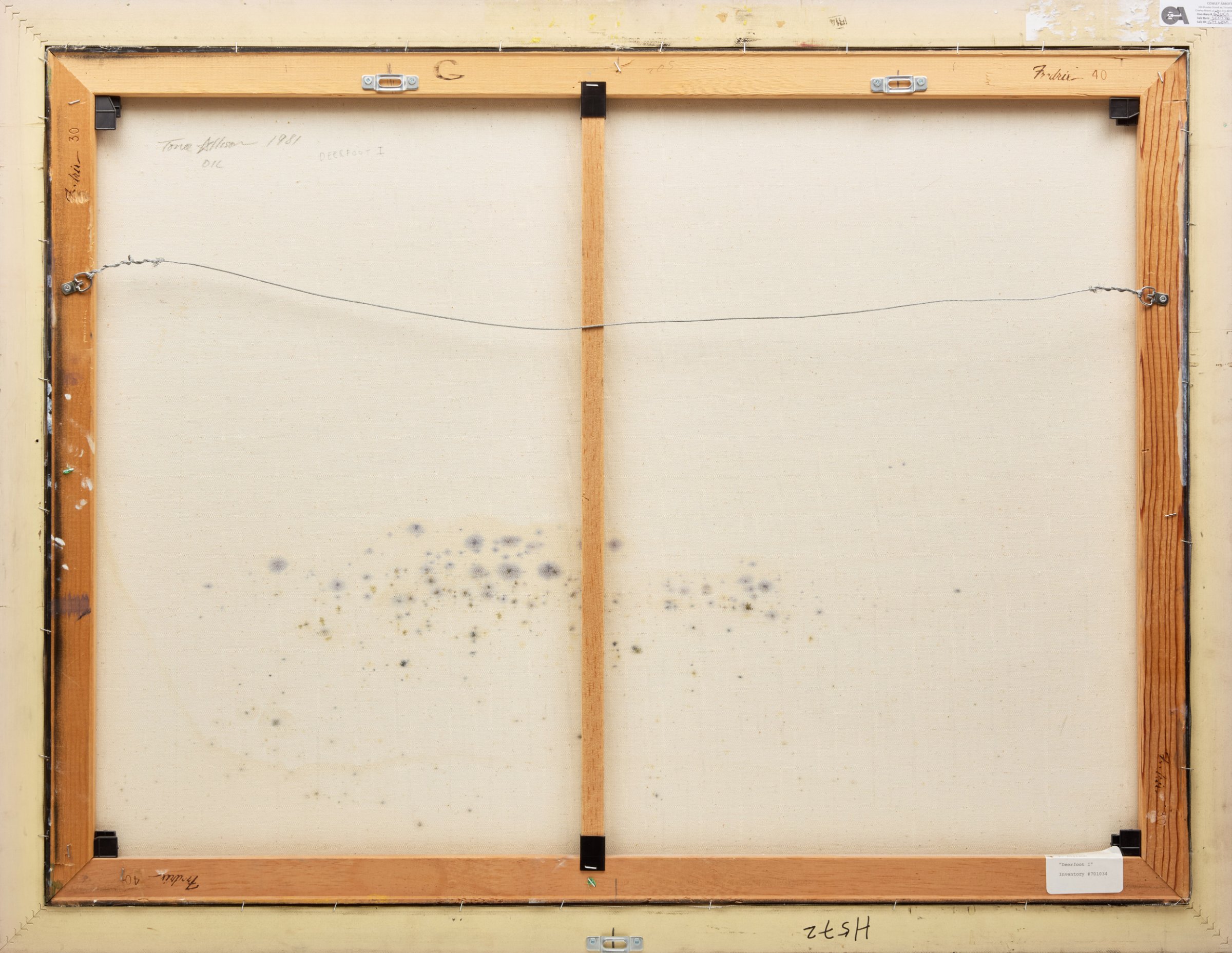 Tony Allison, Deerfoot I, oil on canvas, 1981 - view 3