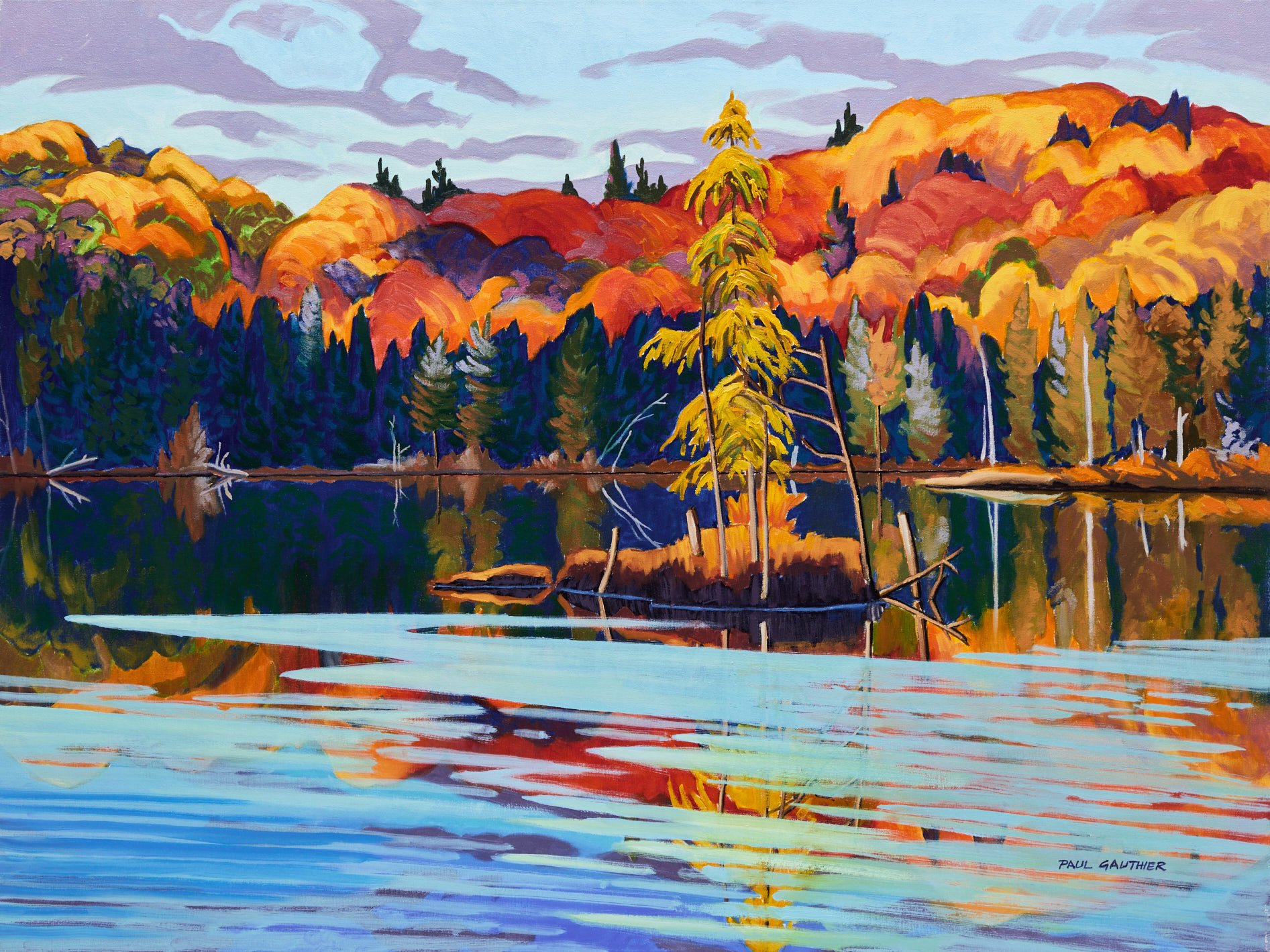 Opeongo Creek, Algonquin Park by Paul Gauthier
