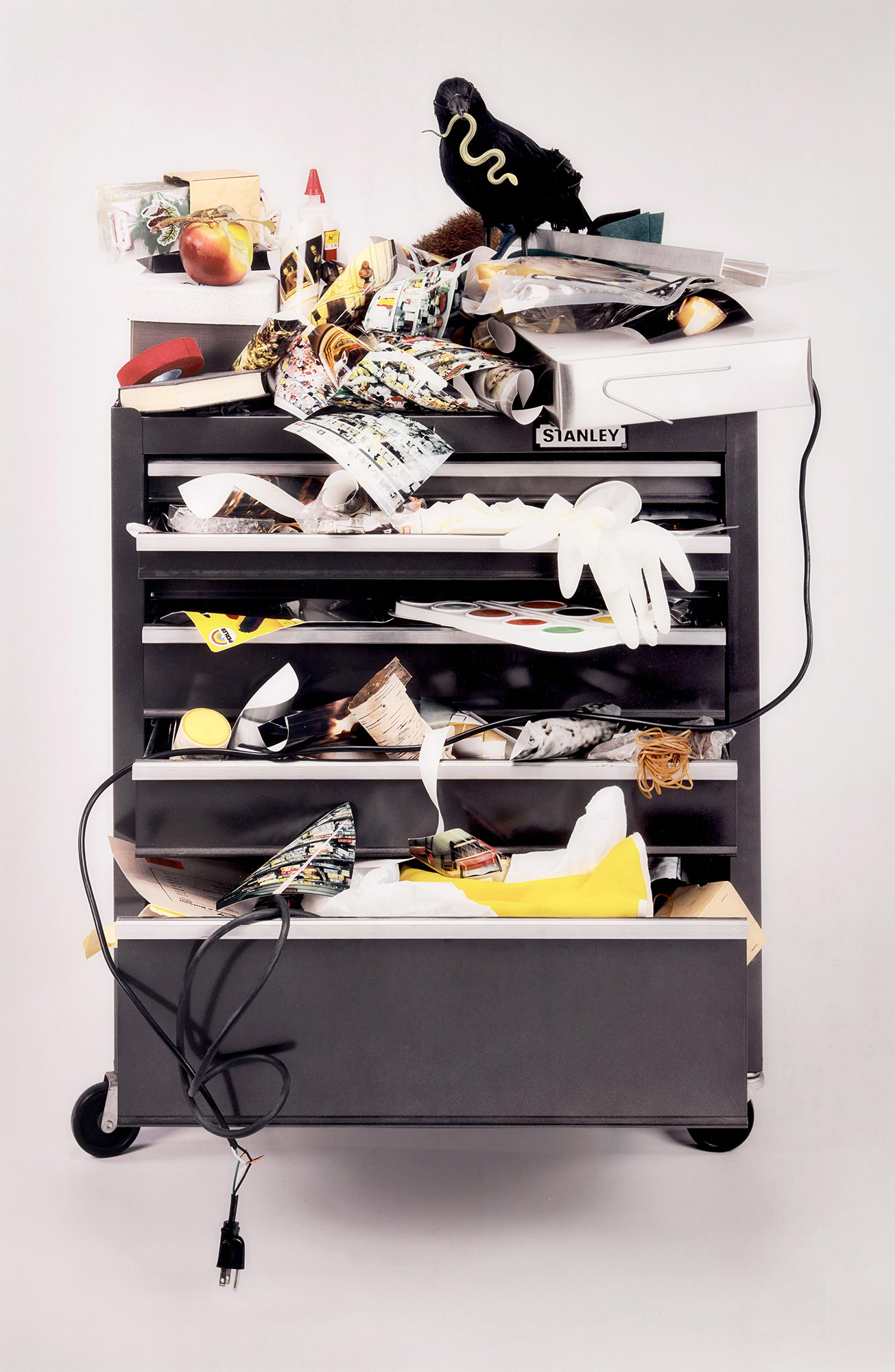 Susan Schelle, Stanley, colour photograph, 2001