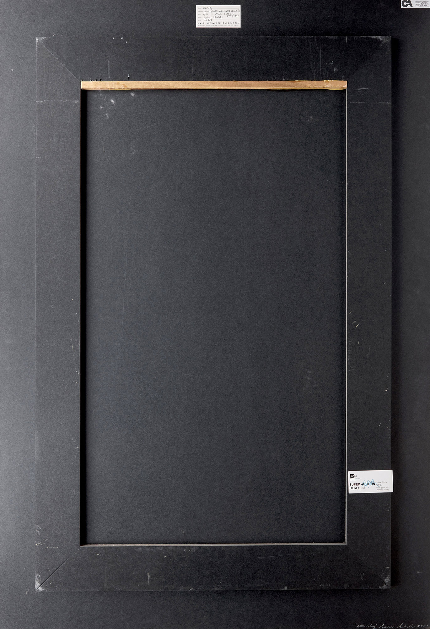 Susan Schelle, Stanley, colour photograph, 2001 - view 3