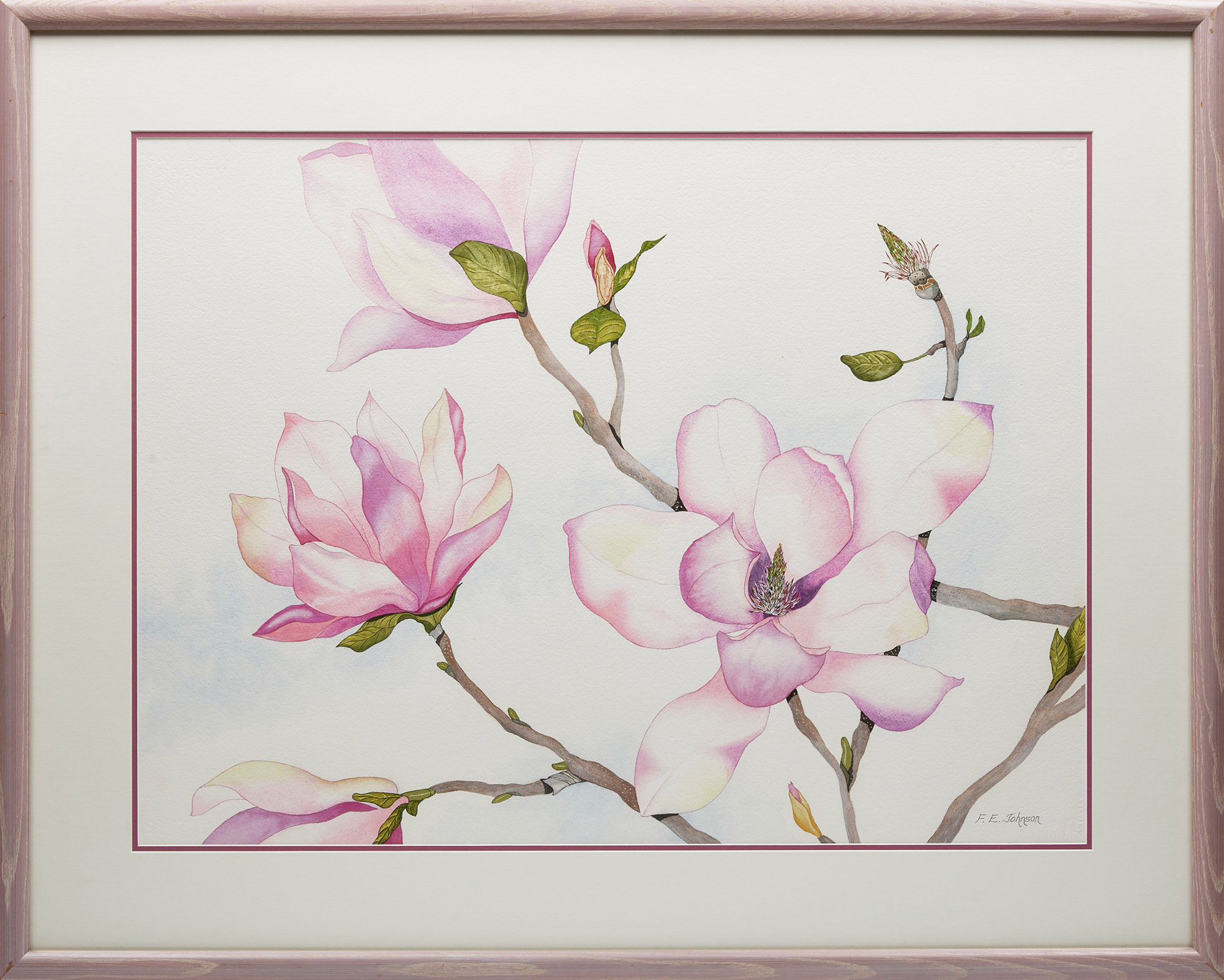 F. Eleanor Johnson, Magnolia, watercolour on paper - view 2