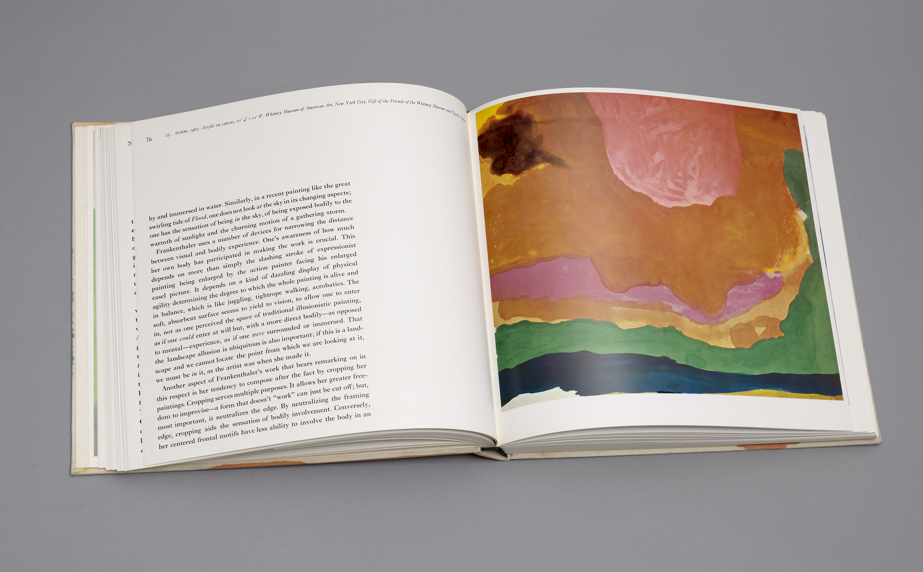 Helen Frankenthaler, Painted Book Cover, 1971, acrylic on canvas bound monograph of the artist, with text by Barbara Rose, designed by Robert Motherwell - view 4