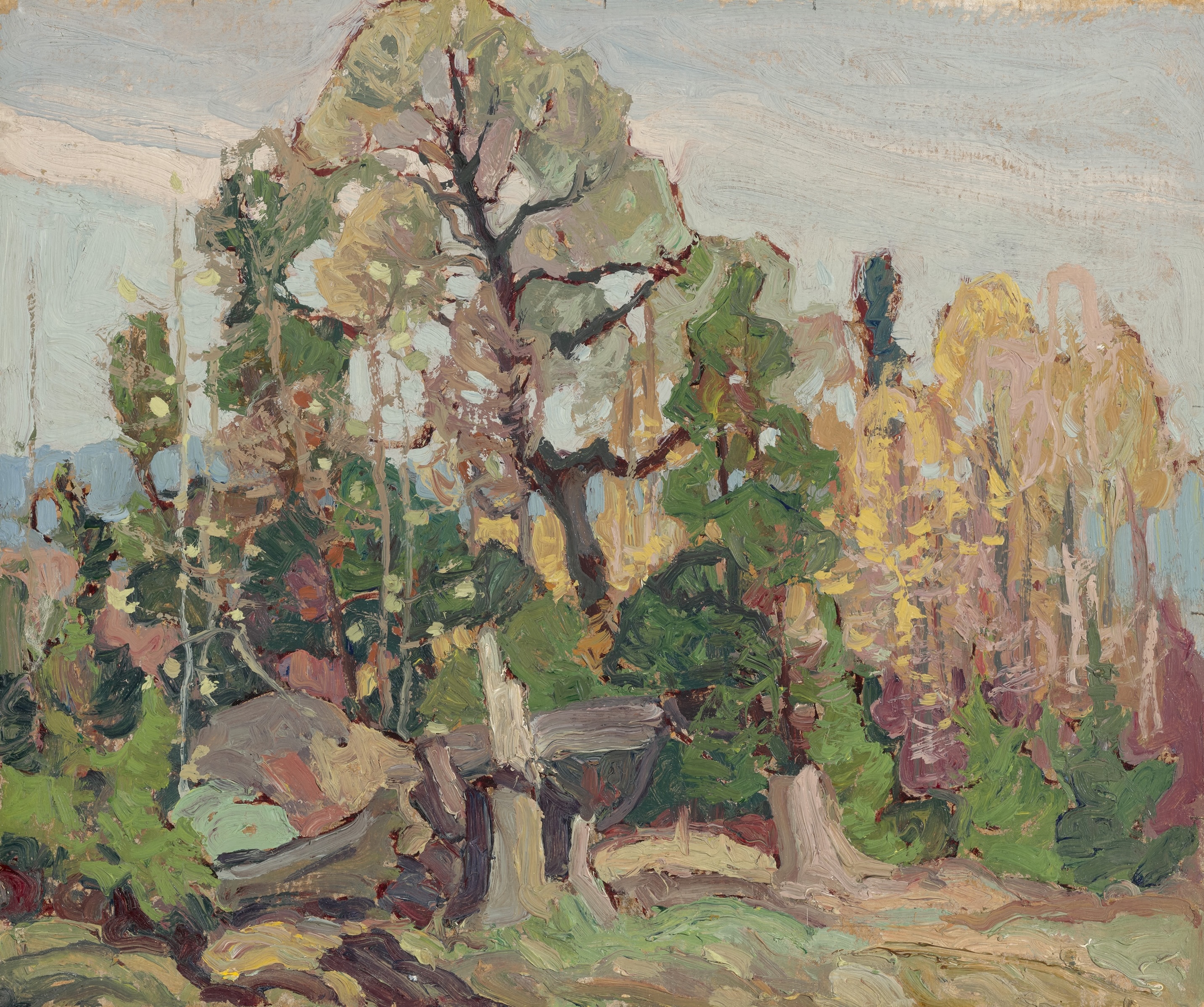 Franklin Carmichael, Study of Trees: Autumn, oil on pressed paperboard panel