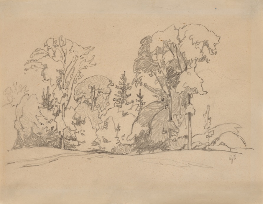 Alfred Joseph Casson, Untitled (Trees), graphite