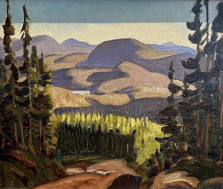 The Canadian Landscape
